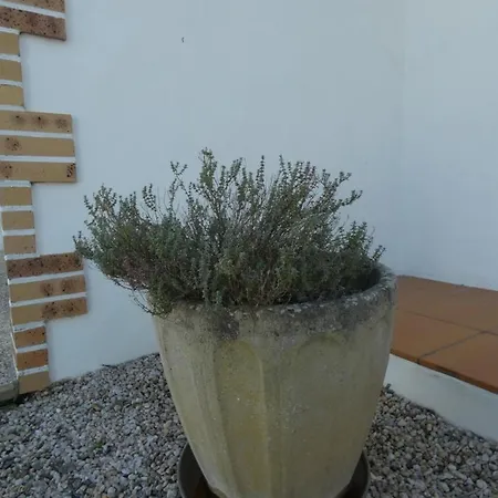 度假居 Maison Spacieuse Avec Jardin Clos, Animaux Acceptes, Pres Des Plages - Fr-1-540-255 山地圣母村